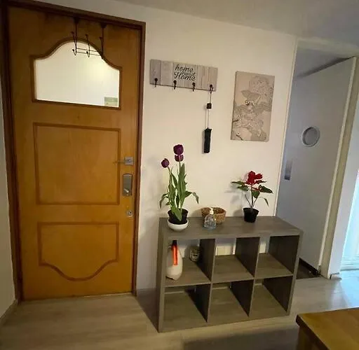Espacioso Departamento Con Estudio En El Corazon De La Condesa Apartment